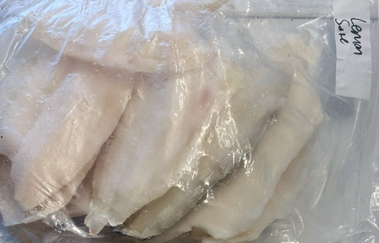 Lemon Sole