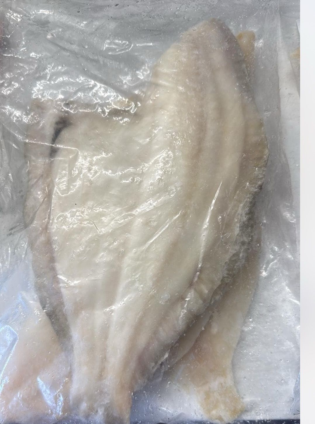 Plaice