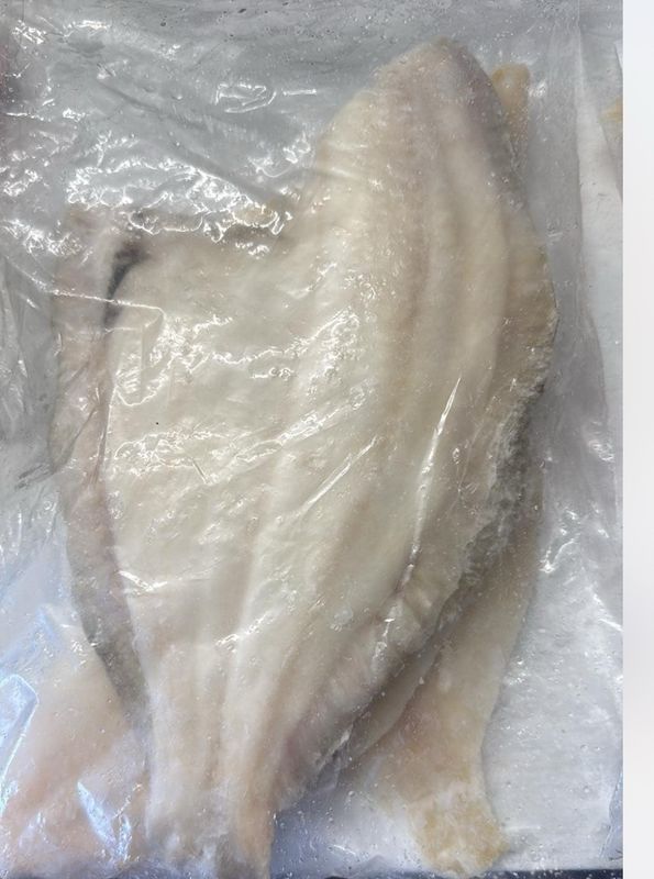 Plaice