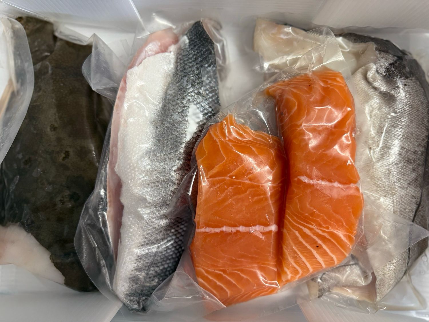 Fresh Fish Box
