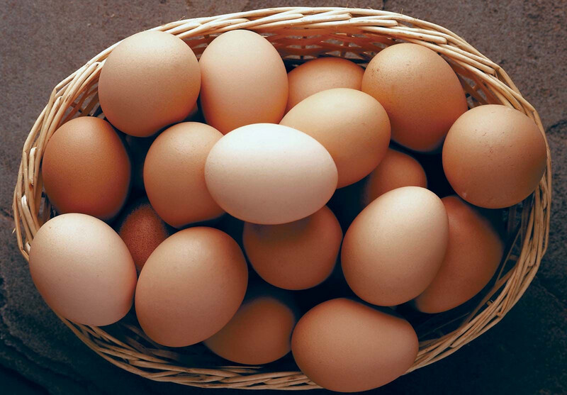 6 LARGE FREE RANGE EGGS