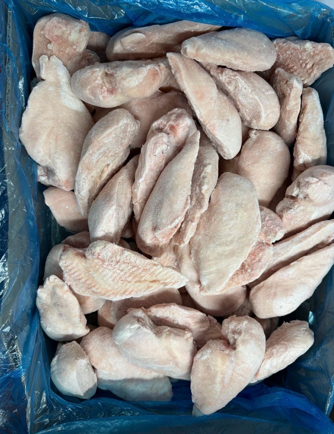 5kg IQF Frozen Chicken Fillets