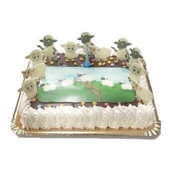 TARTA CUMPLEAÑOS 10 PAX
