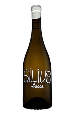 SILIUS BUCCE (GODELLO)