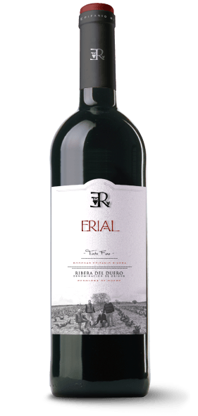 ERIAL