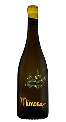 Mimosa