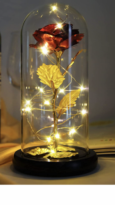 ForeverDynastii Rose