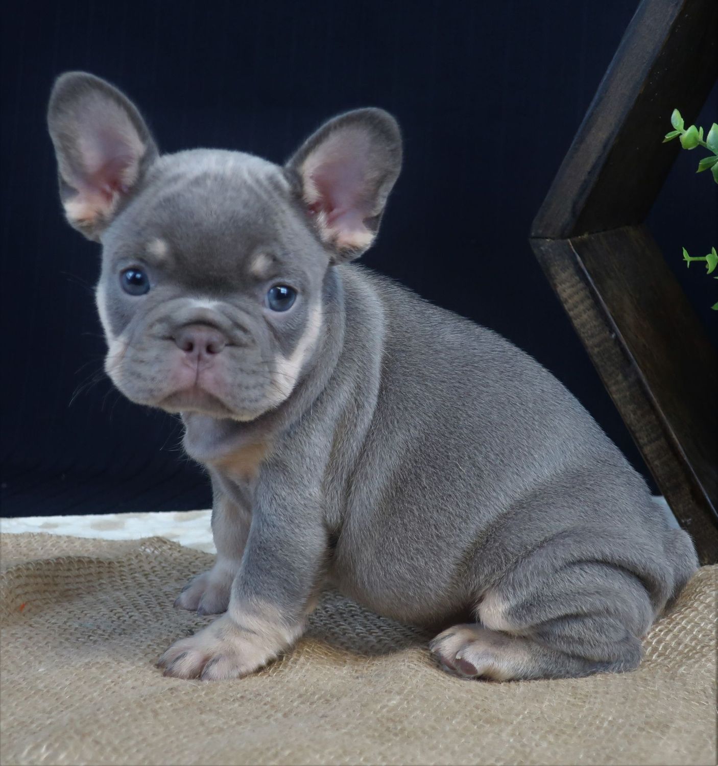 Khloe