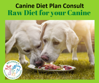 Canine Diet Plan Consult