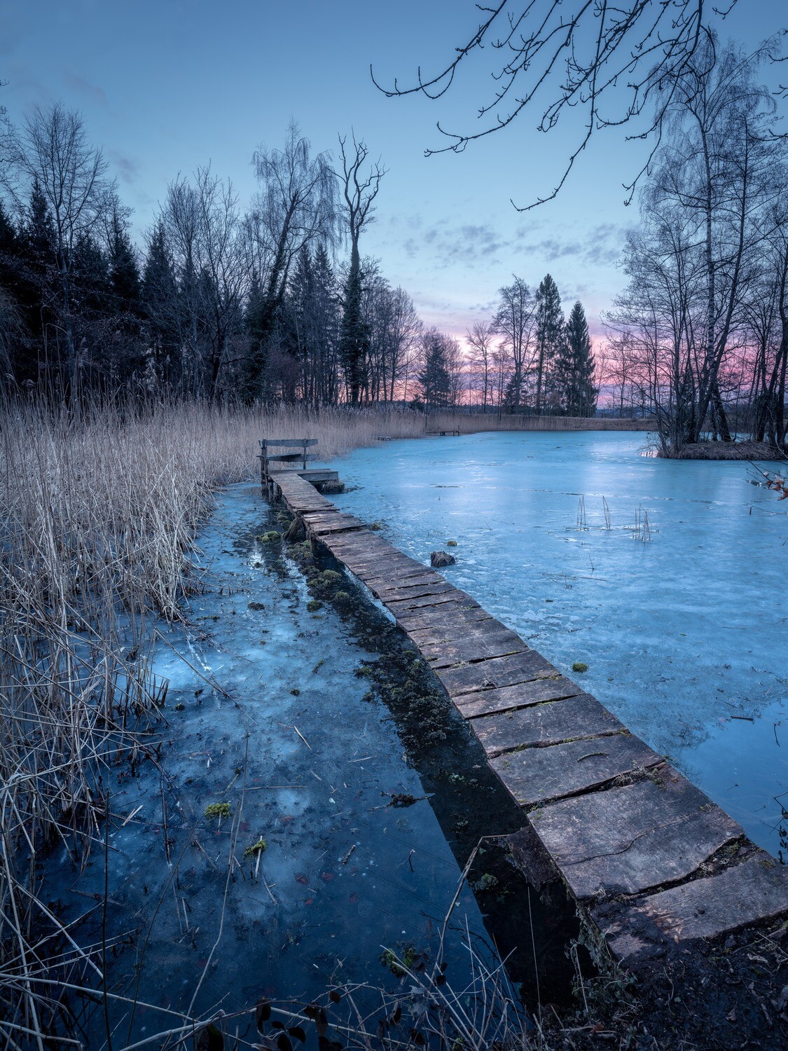 Steg im gefrorenen Scherzer Weiher in Scherz