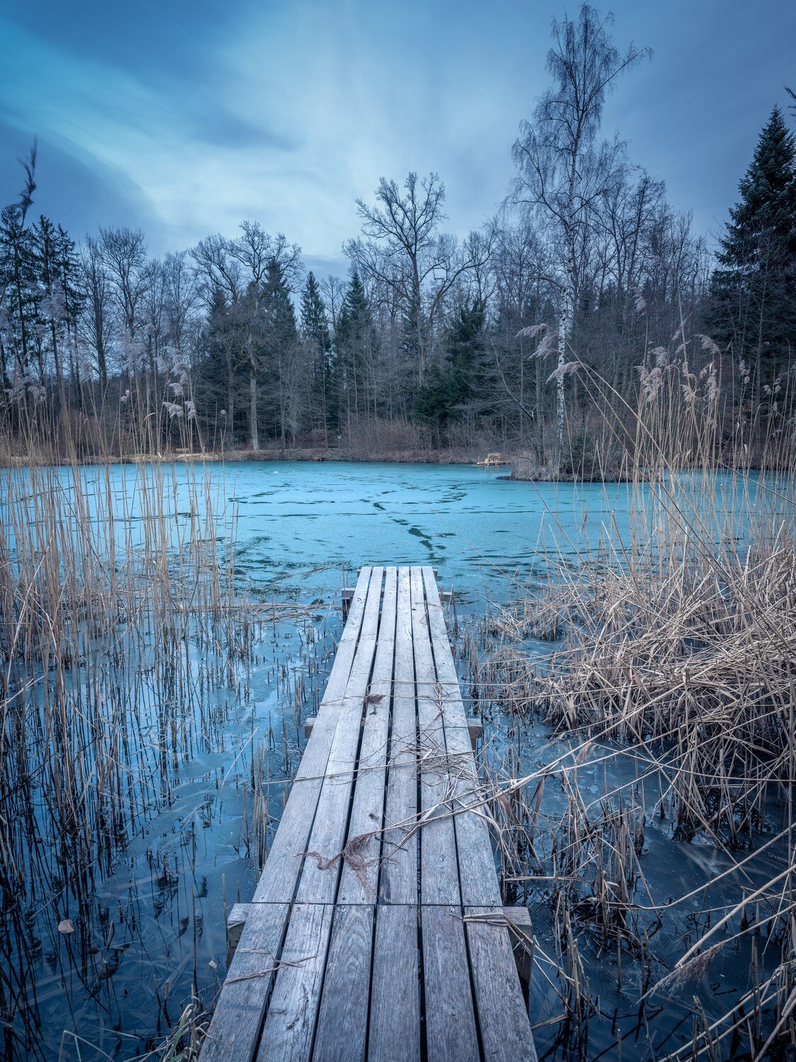Gefrorener Weiher in Scherz im Aargau