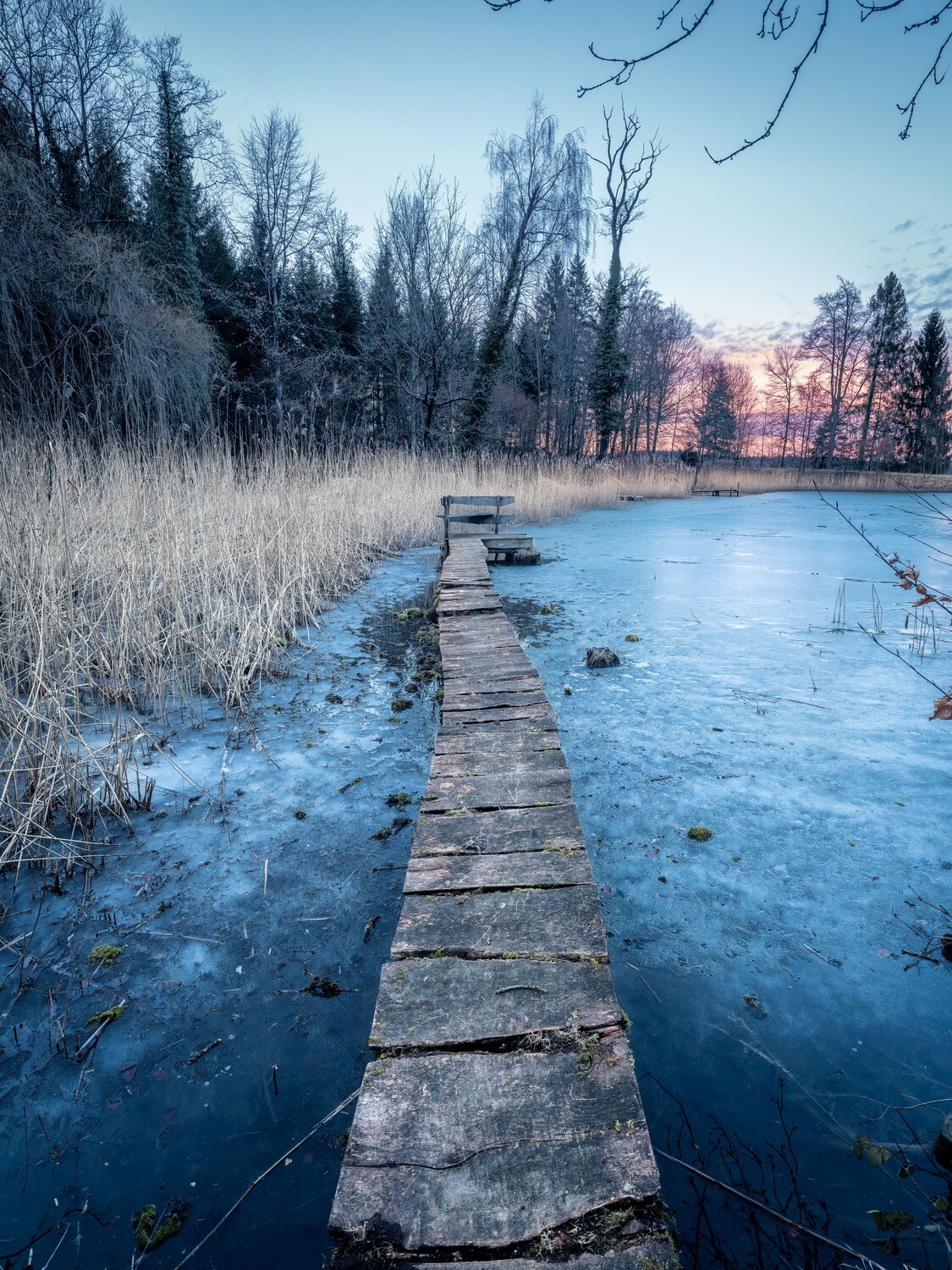 Gefrohrener Weiher in Scherz im Aargau