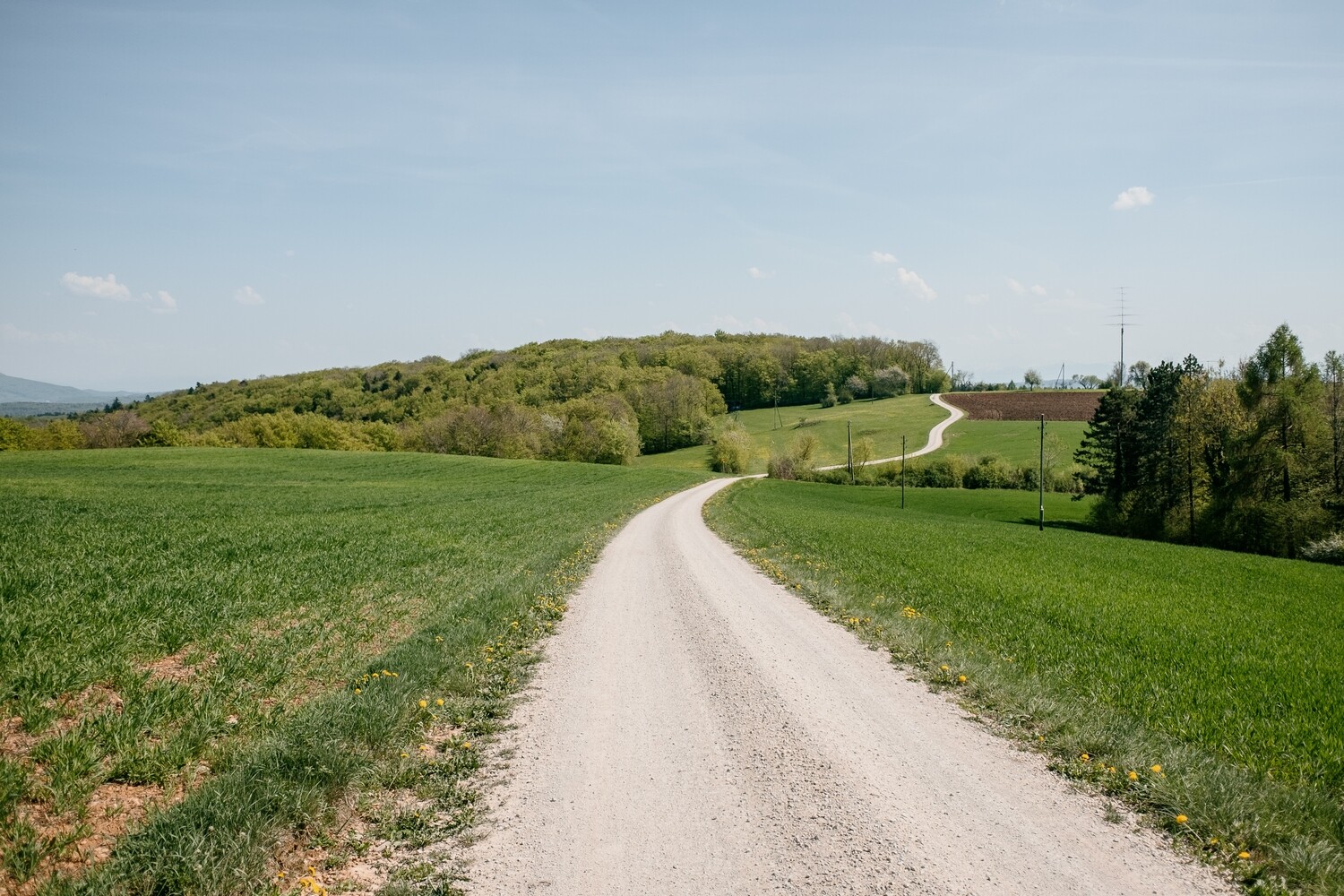 Feldweg Wanderweg über den Bözberg