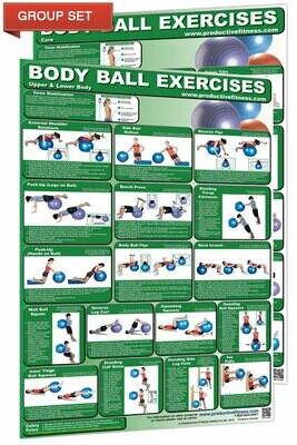 Body Ball / Stability Ball Chart Set (2 poster set,  24x36 each)