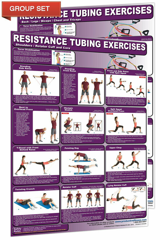Resistance Tubing Chart Set (2 poster set, 24x36 each)