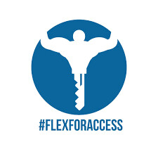 What is Flex for Access?