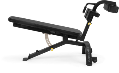 Freemotion EPIC Abdominal Bench