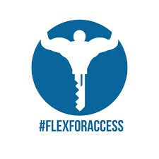 What is Flex For Access?
