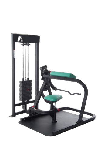 ProMaxima Wheelchair Accessible Bicep Curl