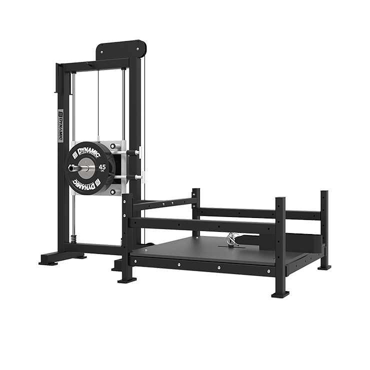 DYNAMIC Fitness Plate-Loaded Belt Squat
