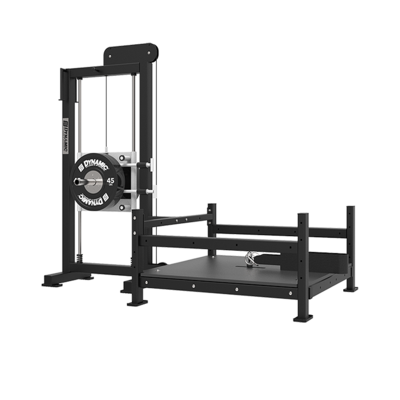 DYNAMIC Fitness Plate-Loaded Belt Squat