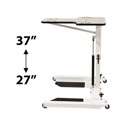 Adjustable Height Upper Body Ergometer Table