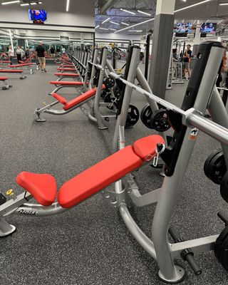 Olympic Bench