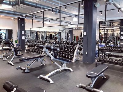 Flat Bench