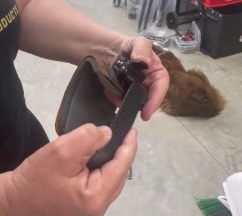 EQUIP Products  Arm Cuff