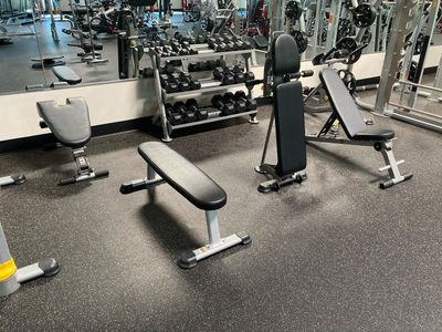Flat Bench