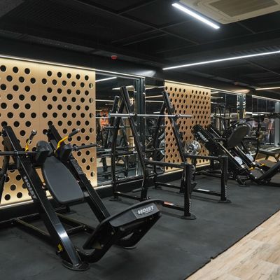 Plate Loaded Equipment
