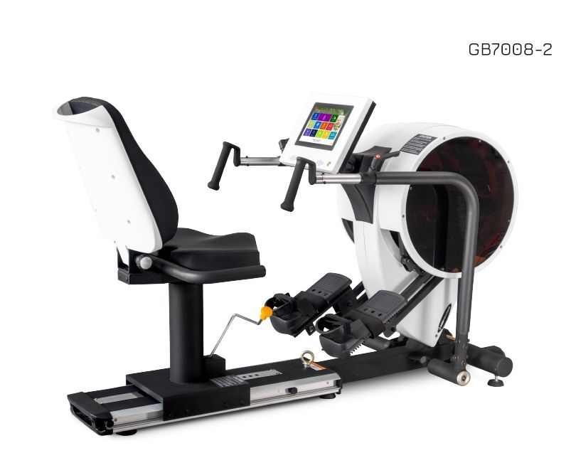 Body Charger Recumbent Stepper Pro