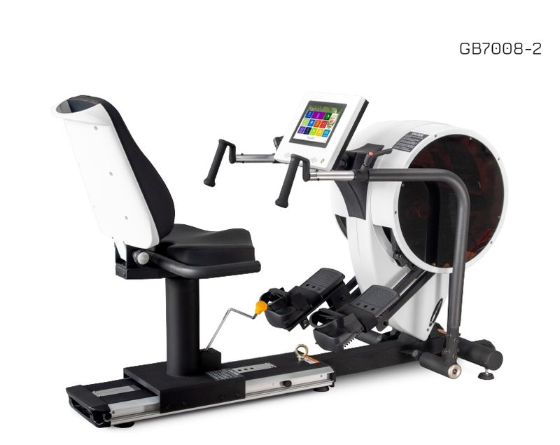 Body Charger Recumbent Stepper Pro