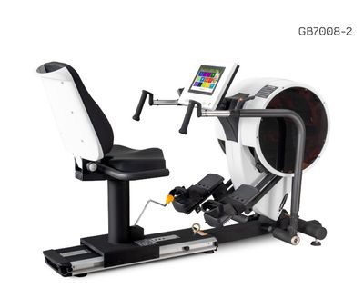 Body Charger Recumbent Stepper Pro