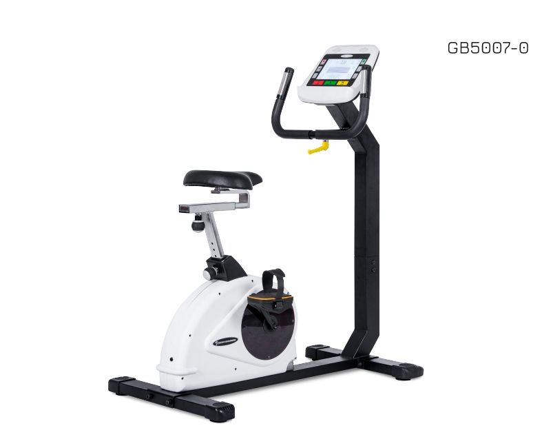 Body Charger Ergo Bike