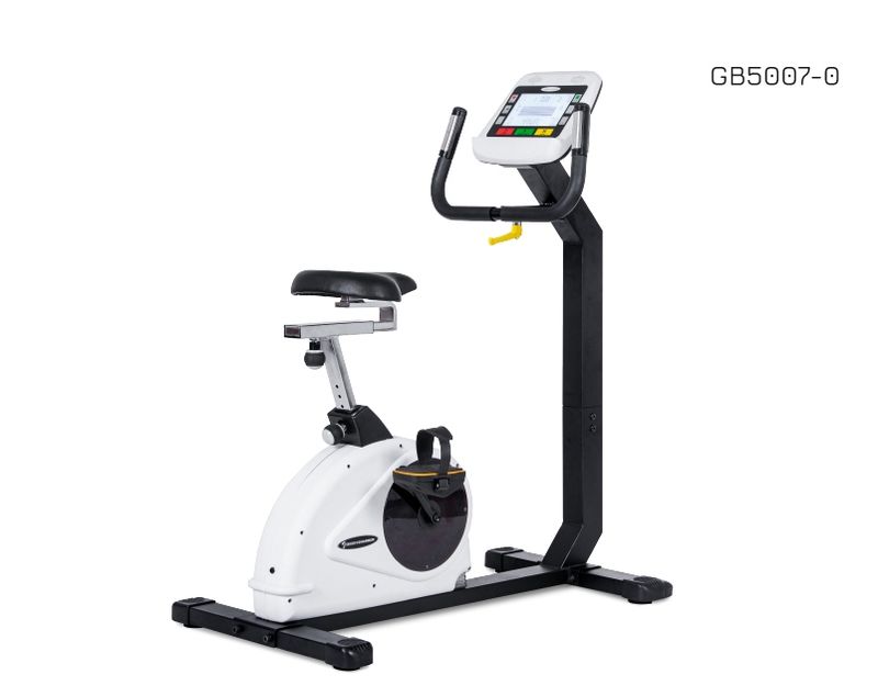 Body Charger Ergo Bike