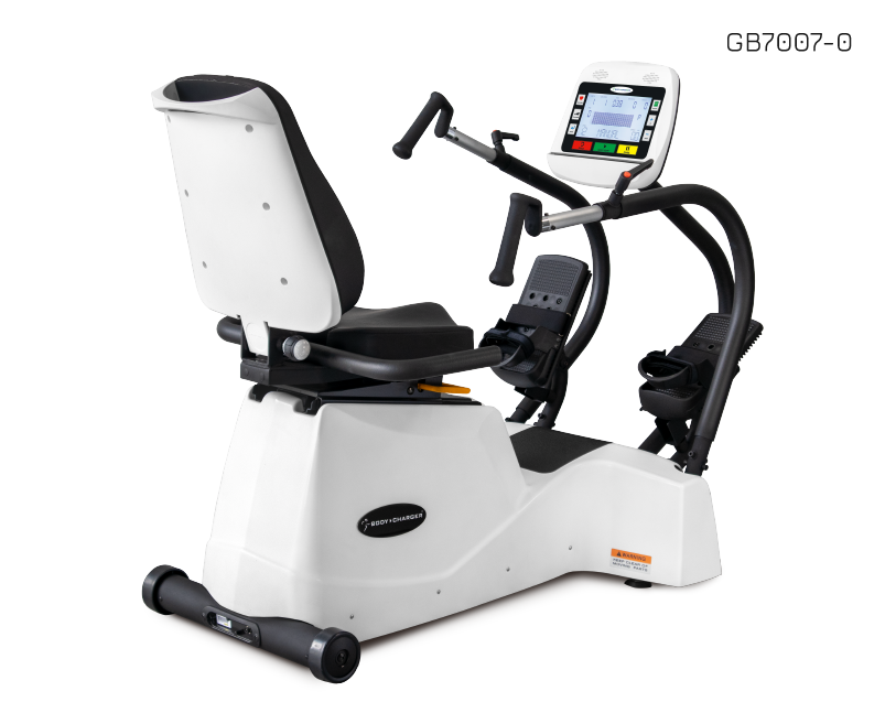 Body Charger Recumbent Linear Stepper Cross Trainer