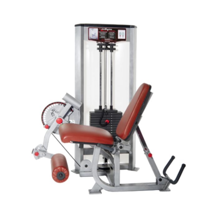 ProMaxima Raptor Leg Extension/ Prone Leg Curl Combo