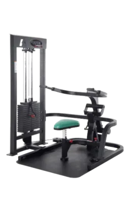 ProMaxima Wheelchair Accessible Tricep Press