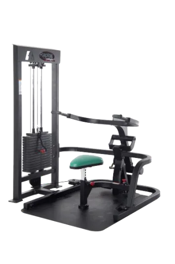 ProMaxima Wheelchair Accessible Tricep Press