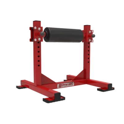 Dynamic Single Leg Squat Roller