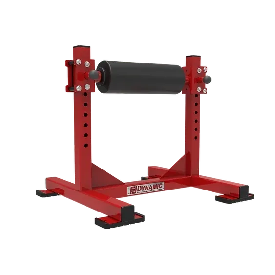 Dynamic Single Leg Squat Roller