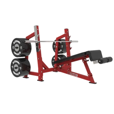 Dynamic Ultra Pro Olympic Decline Bench