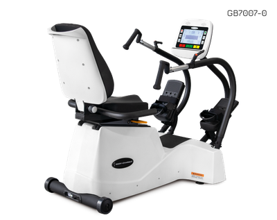 Body Charger Recumbent Linear Stepper Cross Trainer