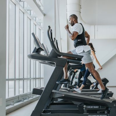 Climbers, Incline Trainers &amp; Stepper