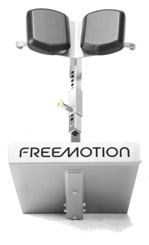 Freemotion EPIC 45-Degree Back Extension
