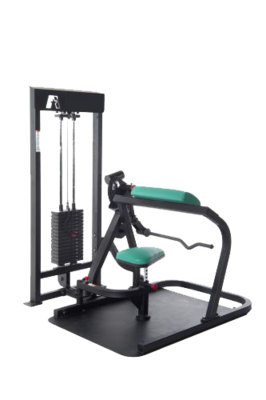 ProMaxima Wheelchair Accessible Bicep Curl