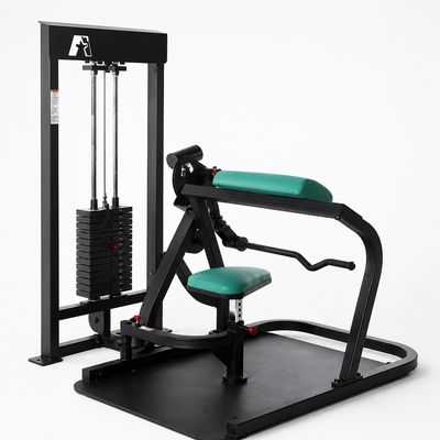 ProMaxima Wheelchair Accessible Bicep Curl