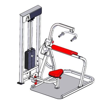 ProMaxima Wheelchair Accessible Tricep Extension