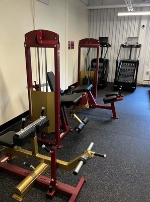Dynamic Ultra Pro Leg Extension Machine